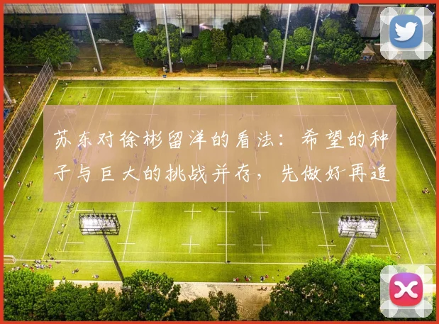 苏东对徐彬留洋的看法:希望的种子与巨大的挑战并存,先做好再追求完美