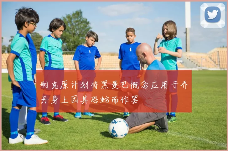 耐克原计划将黑曼巴概念应用于乔丹身上因其恐蛇而作罢