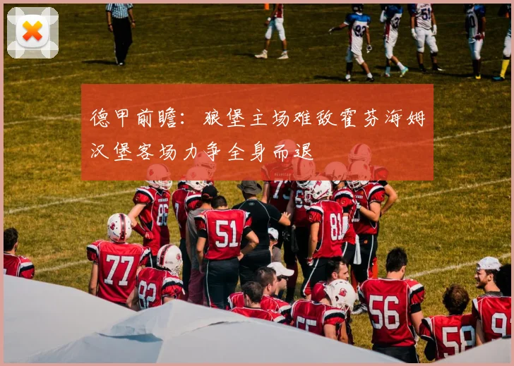 德甲前瞻：狼堡主场难敌霍芬海姆汉堡客场力争全身而退